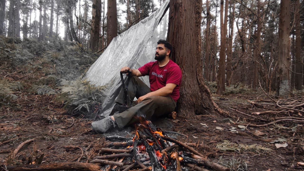 How to Survive in the Forest Without Food or Shelter
