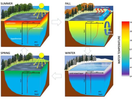 How to Use Thermal Stratification to Find Winter Fish